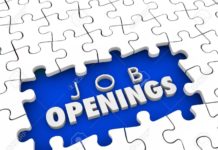 Geo Owl Open Positions