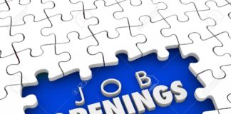 Geo Owl Open Positions