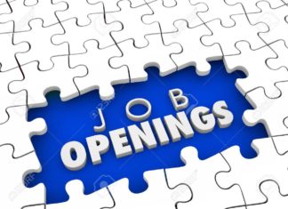 Geo Owl Open Positions