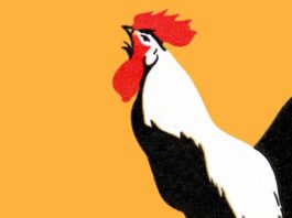 Wilmington startup OpiAid presents May 4 at South’s largest investor event