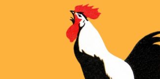 Congrats to Tru Colors Brewing on HUGE investment from Molson Coors – Forbes Magazine