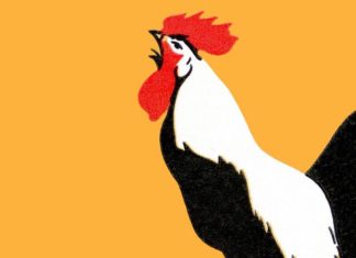 The HUGE news for the Wilmington startup ecosystem – NextGlass / Untappd gets big strategic investment – Wilmington Business Journal has the story first