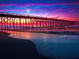 Tough Love for the Entrepreneurs Can Hack the Complacent Startup Ecosystem